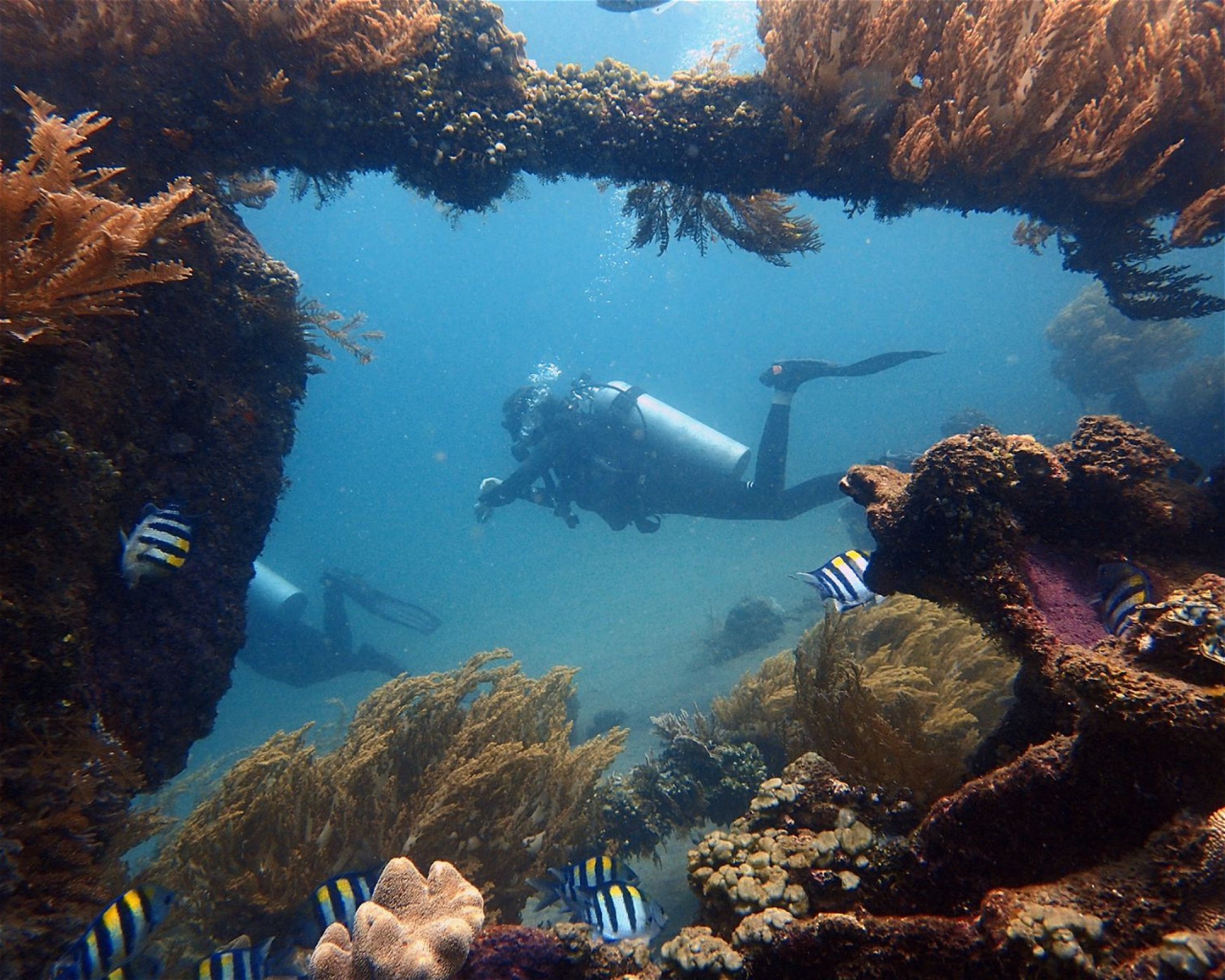 Amed Jepun Divers, 80852 Amed, Karangasem