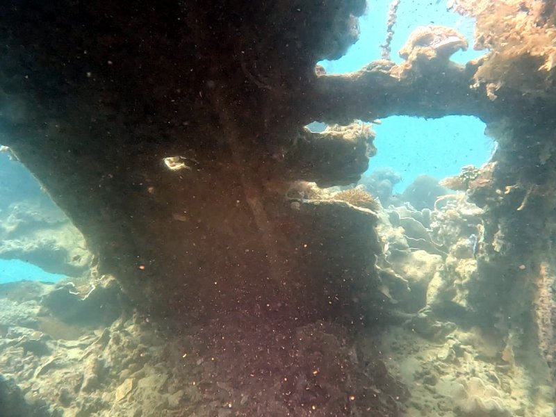 Divesite Image