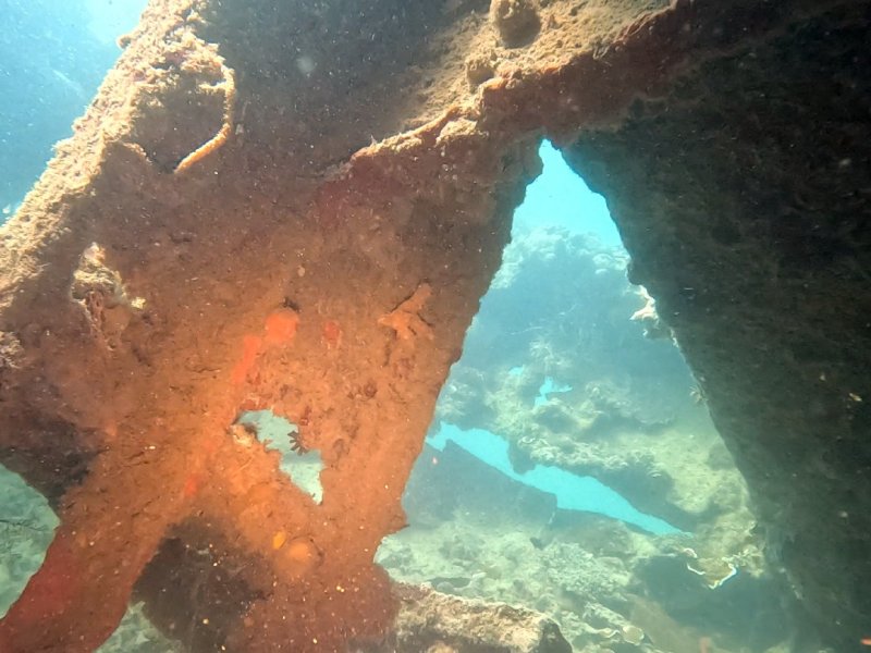 Divesite Image