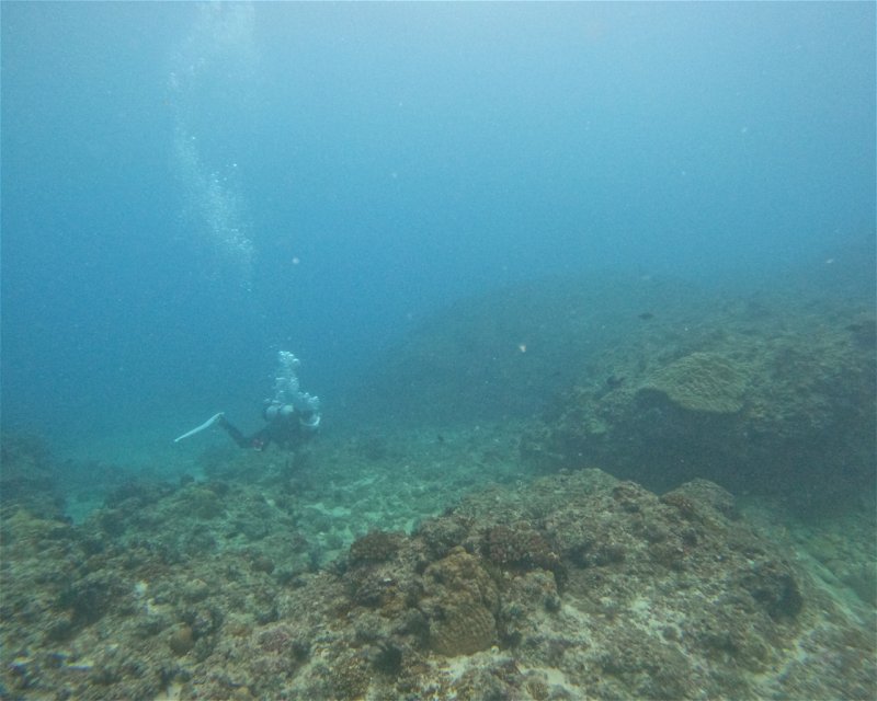 Divesite Image