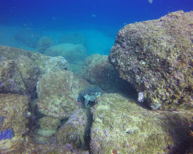 Divesite Image