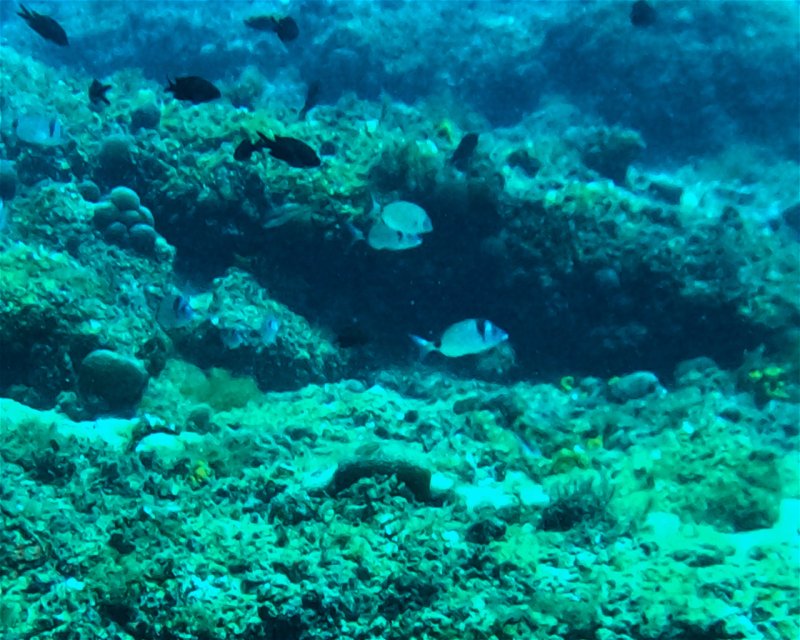 Divesite Image