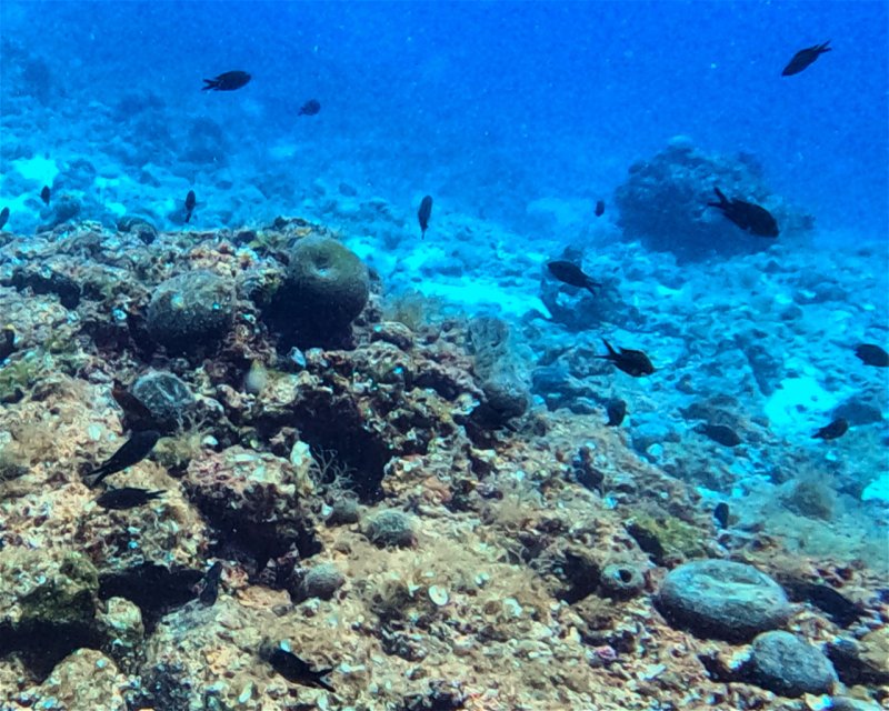 Divesite Image