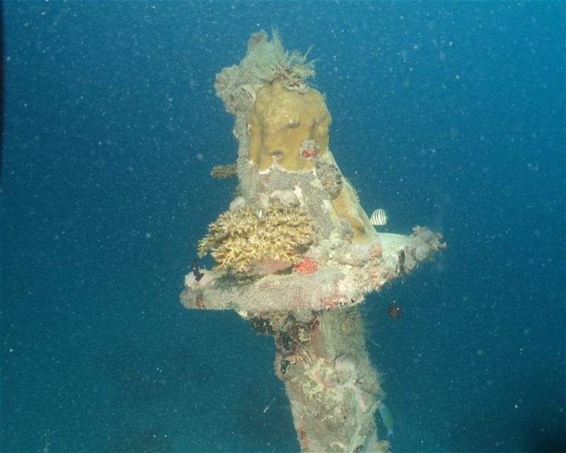 Divesite Image
