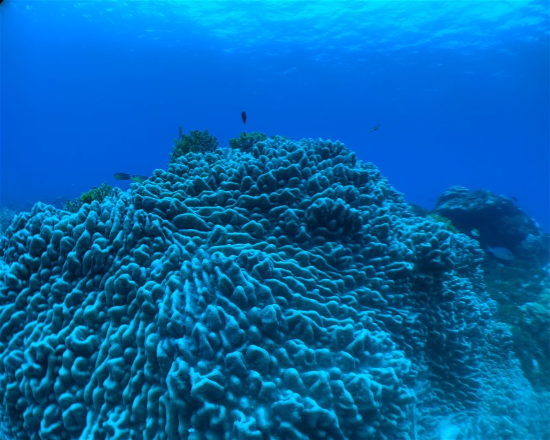 Divesite Image