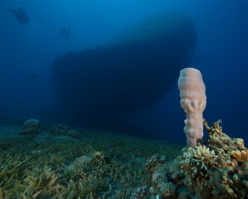 Divesite Image
