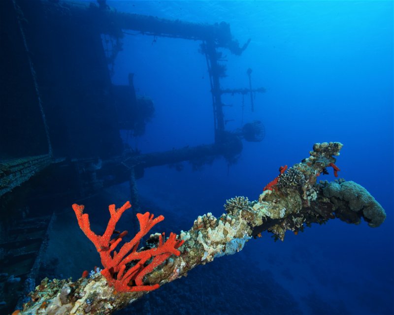 Divesite Image