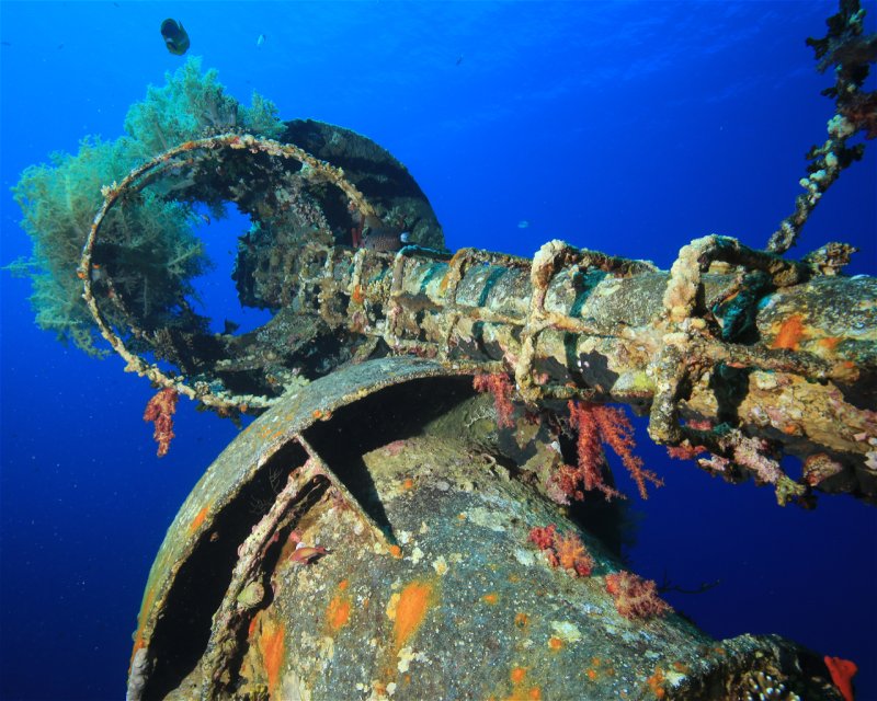Divesite Image