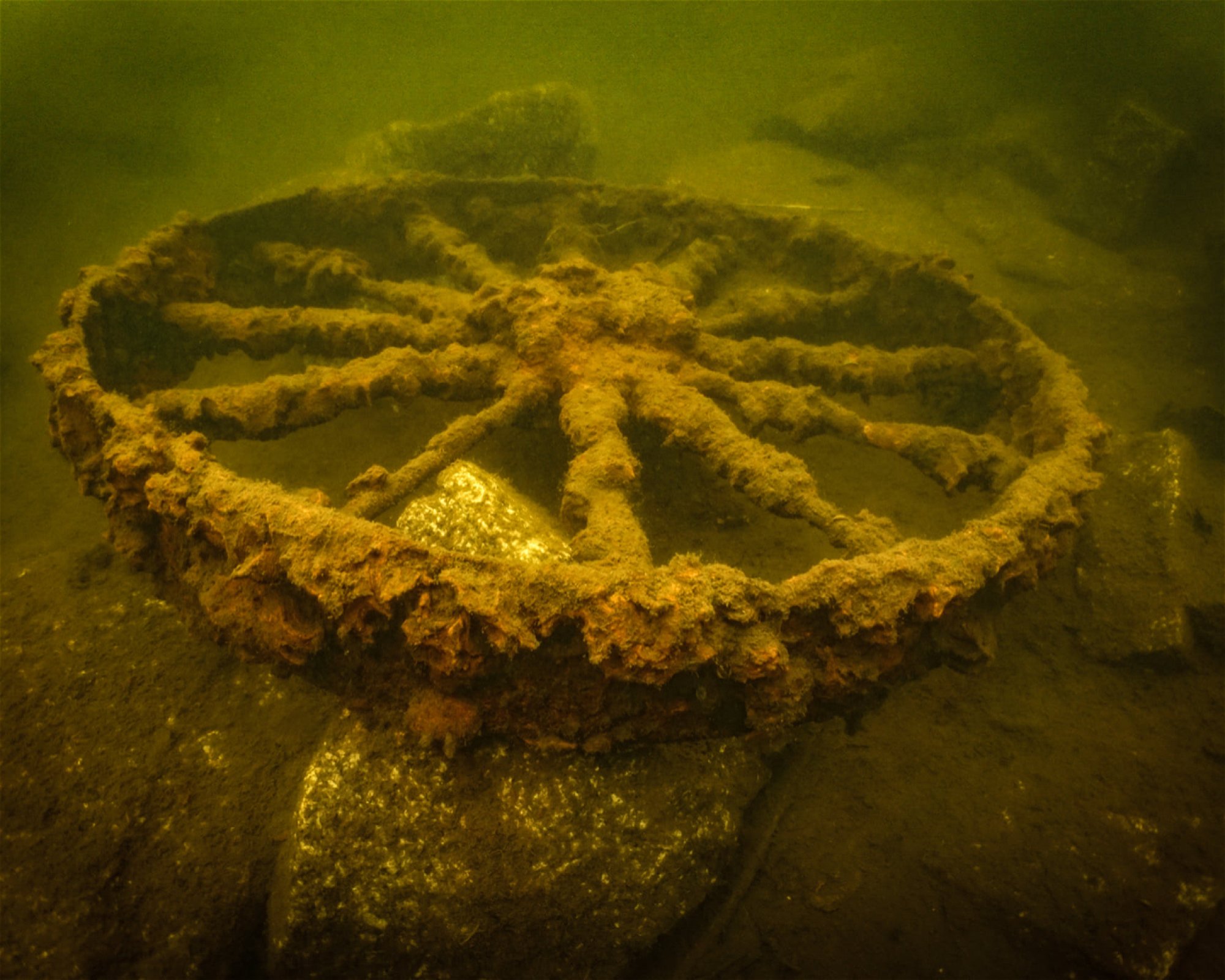 Dive Newquay Ltd, TR7 1BE NEWQUAY