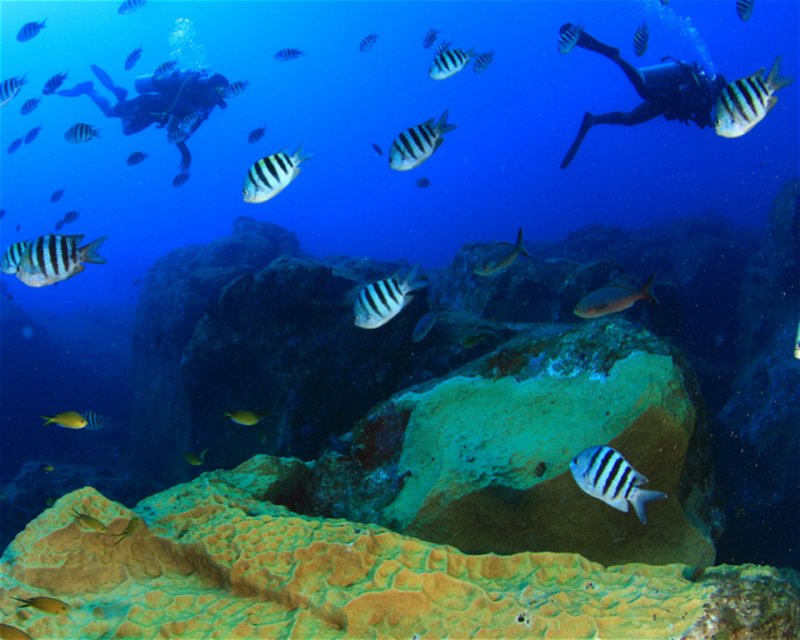 Divesite Image