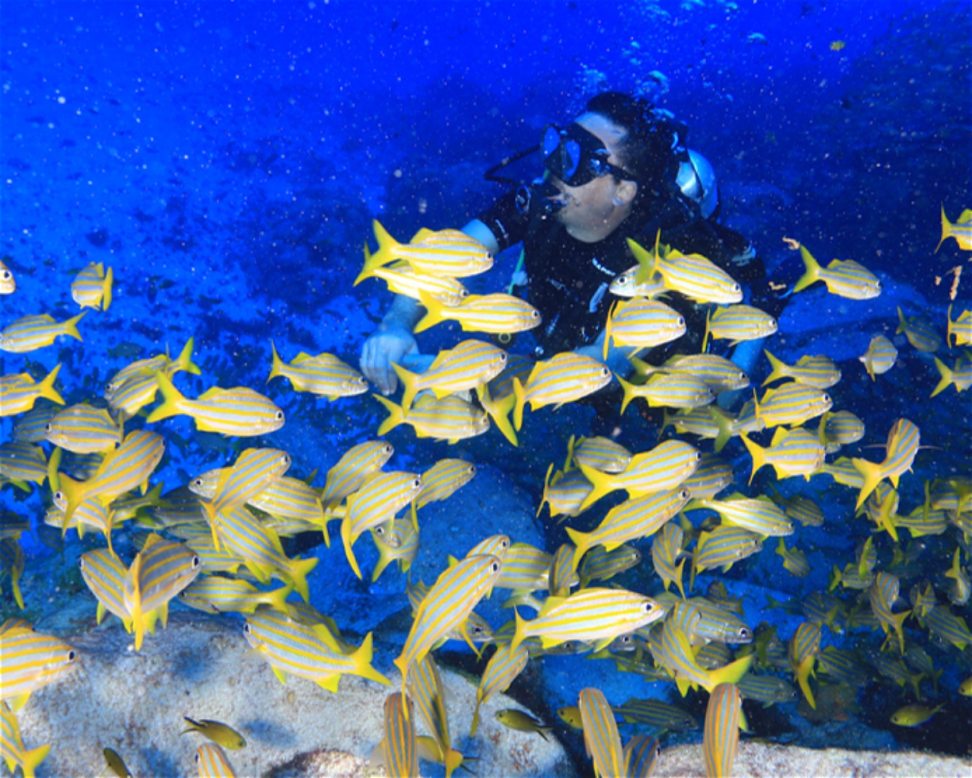 CNM DIVE, 13211-698 JUNDIAI