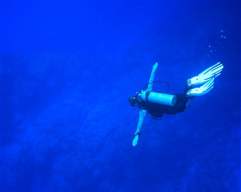 Divesite Image