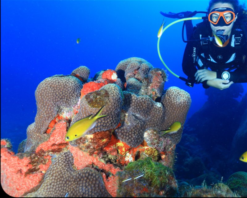 Divesite Image