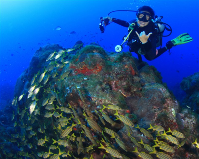 Divesite Image