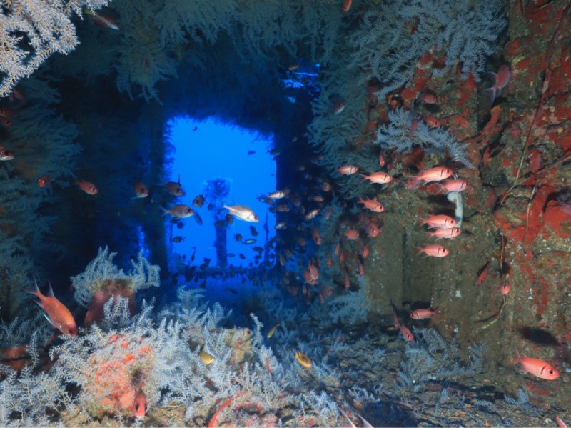 Divesite Image