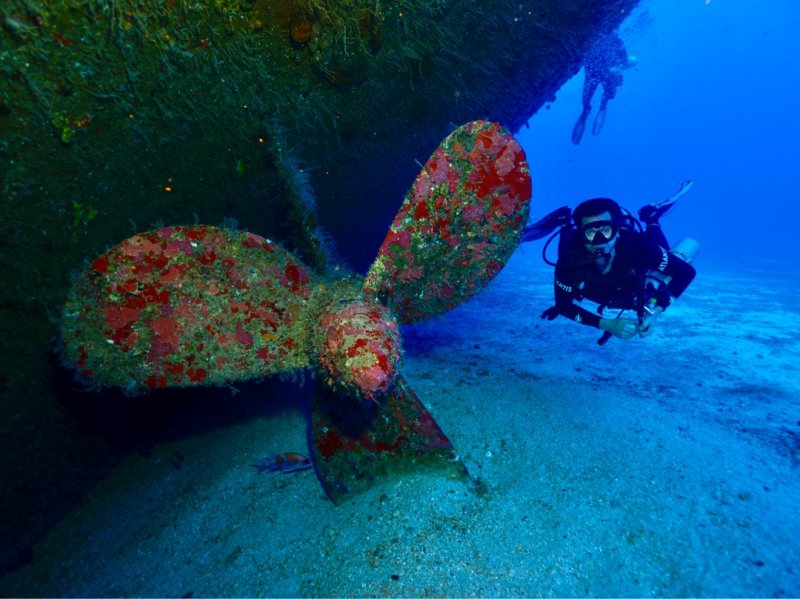 Divesite Image