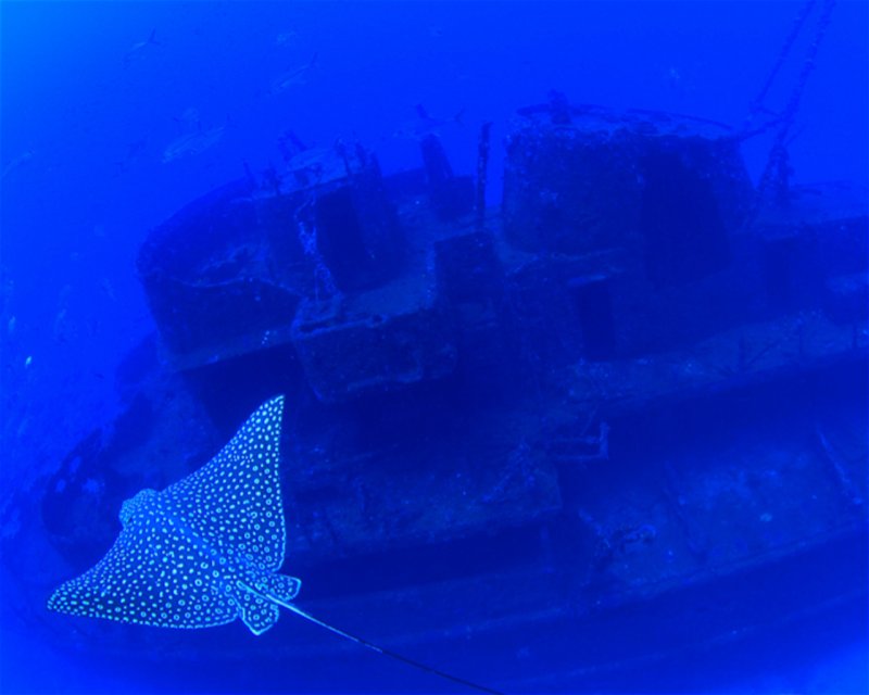 Divesite Image