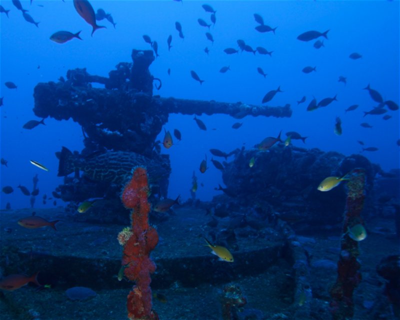 Divesite Image