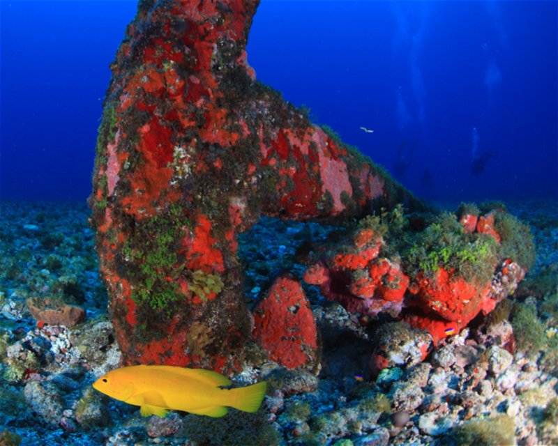 Divesite Image
