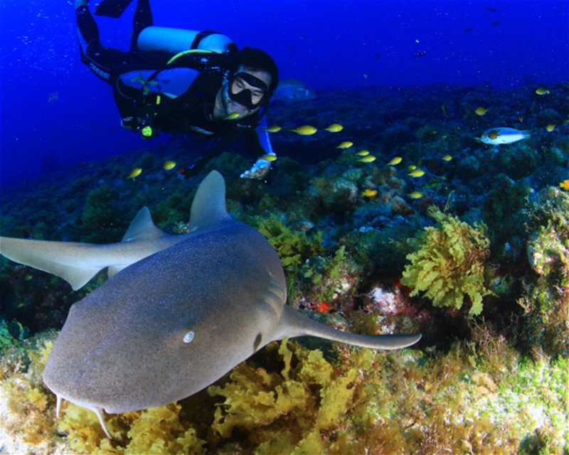 Divesite Image