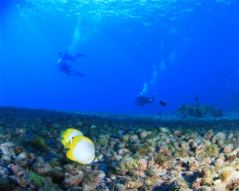 Divesite Image