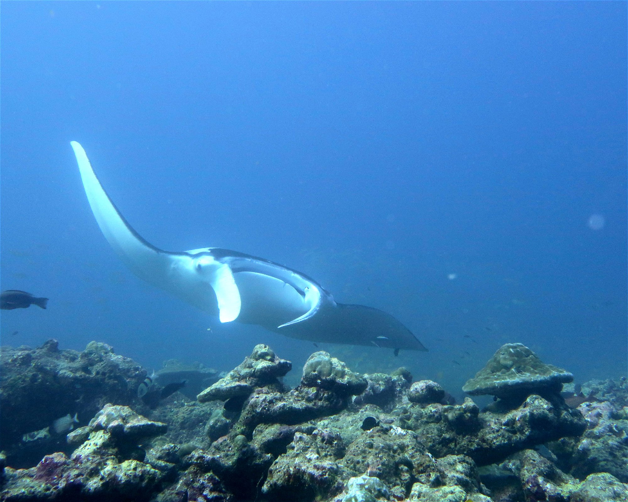 DivePoint Hudhuran Fushi, 20193 Male