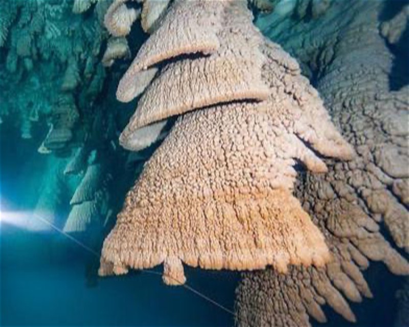 Divesite Image