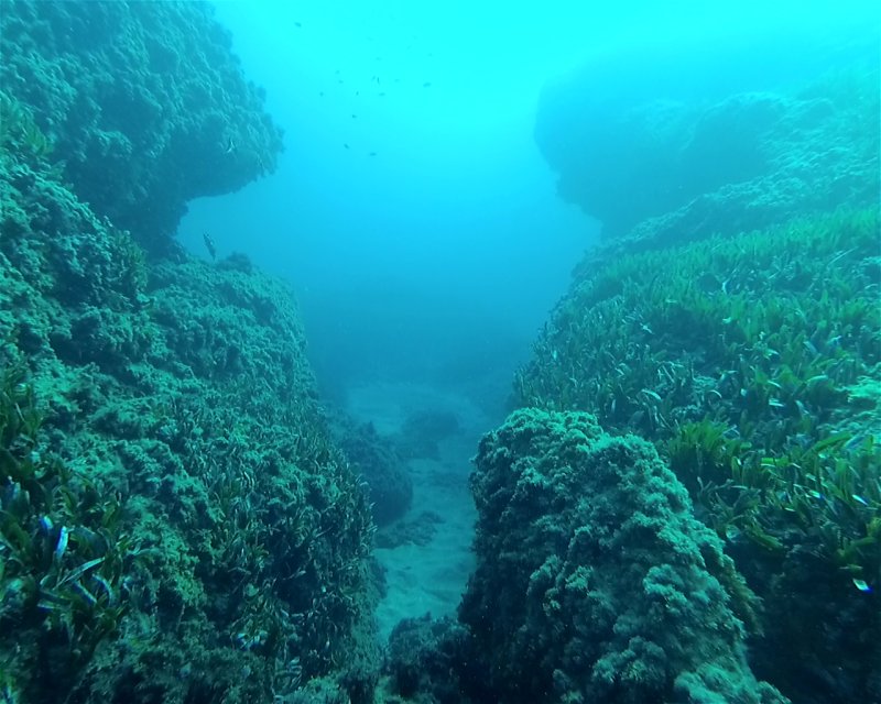 Divesite Image
