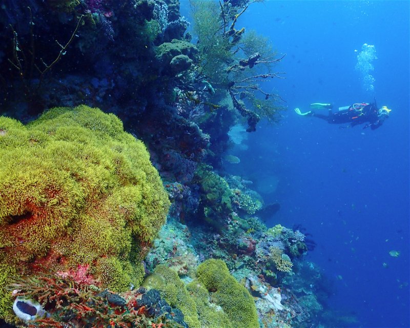 Divesite Image