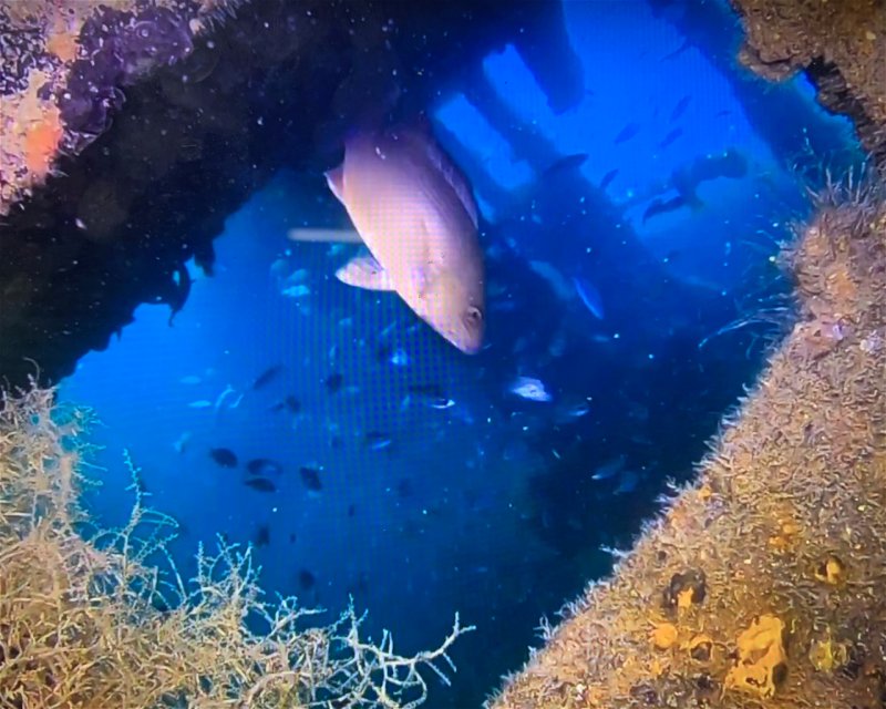 Divesite Image