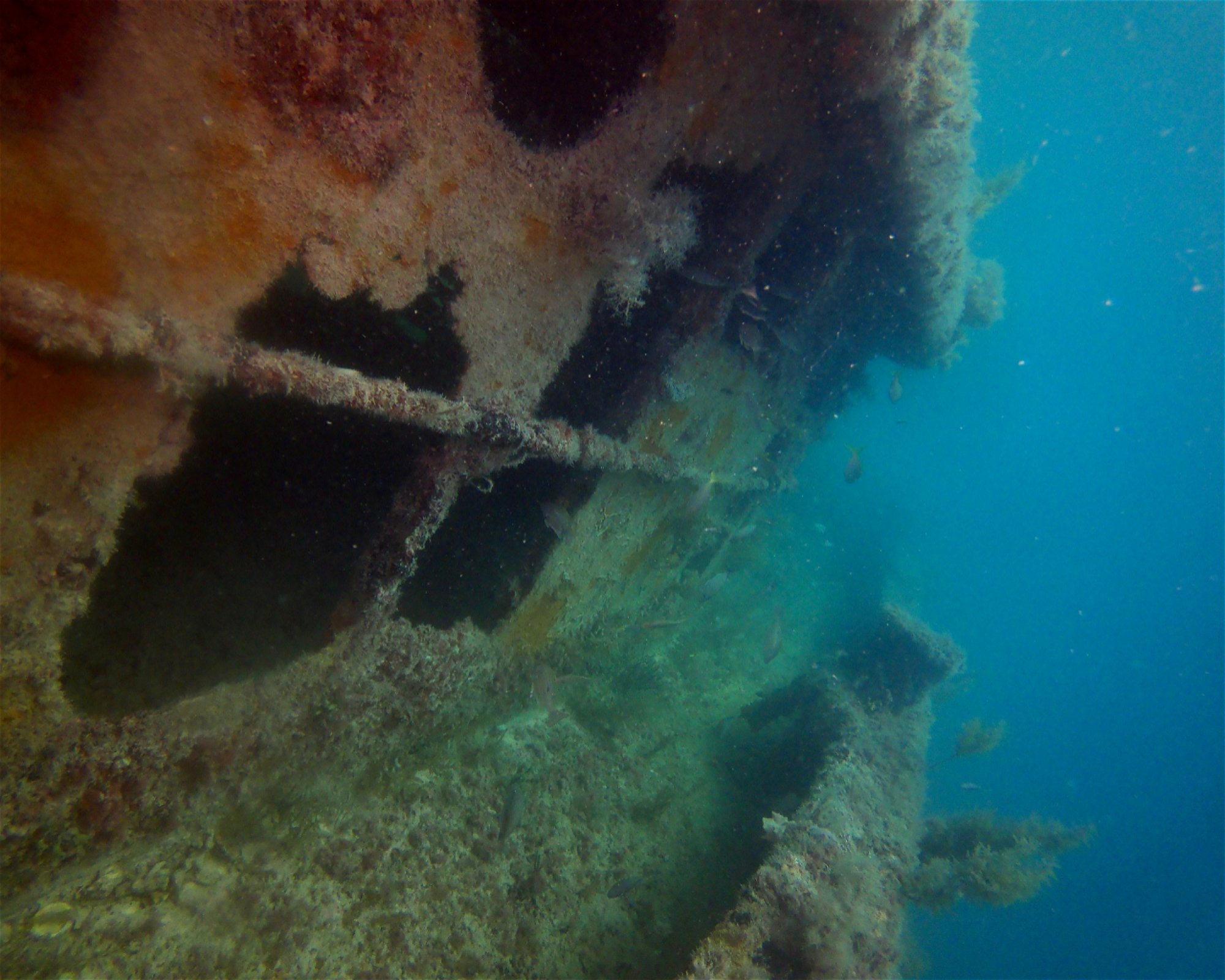 Jims Dive Shop, 33708 St Petersburg