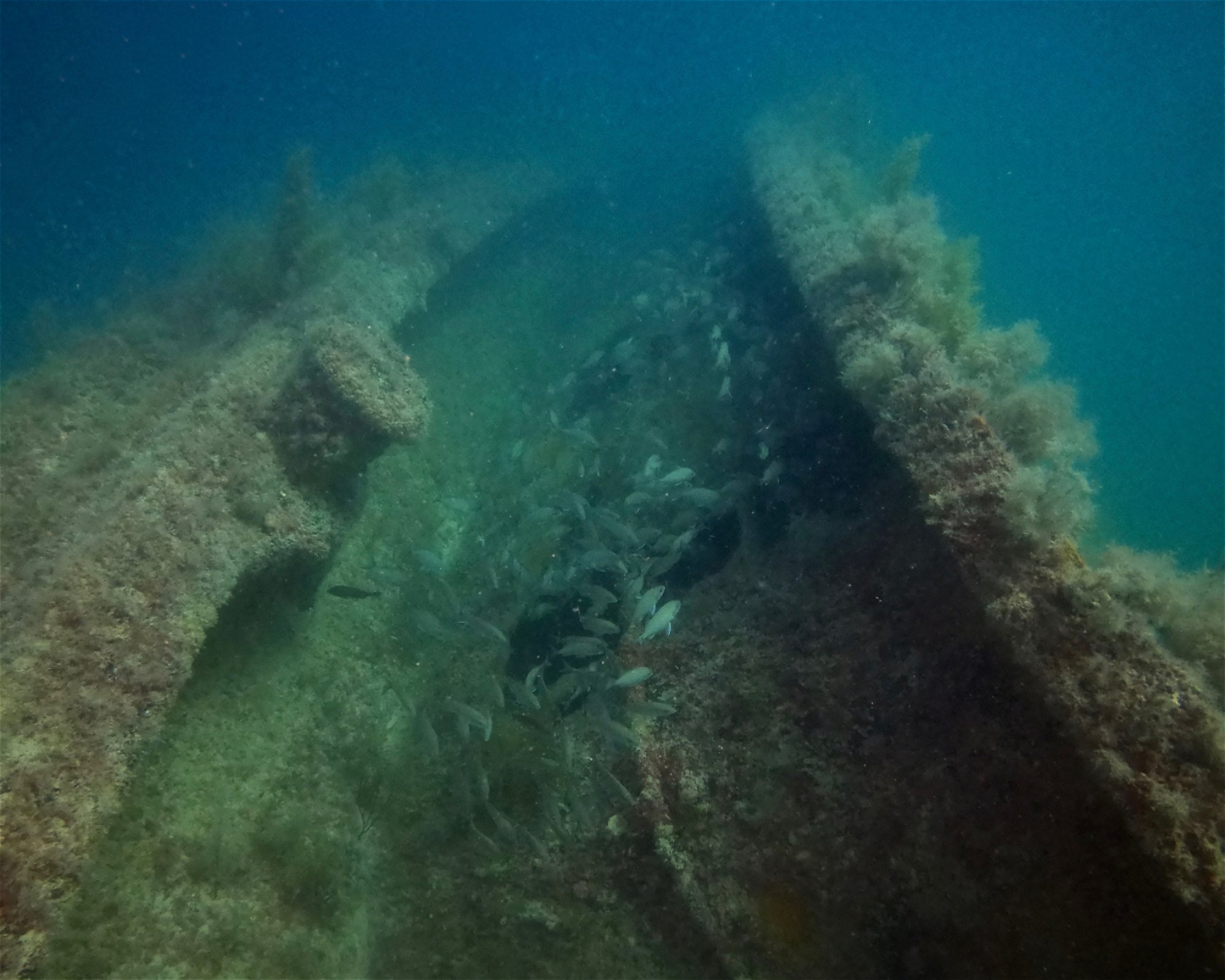 Jims Dive Shop, 33708 St Petersburg