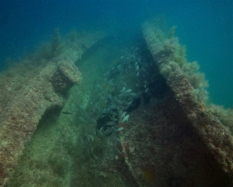 Divesite Image