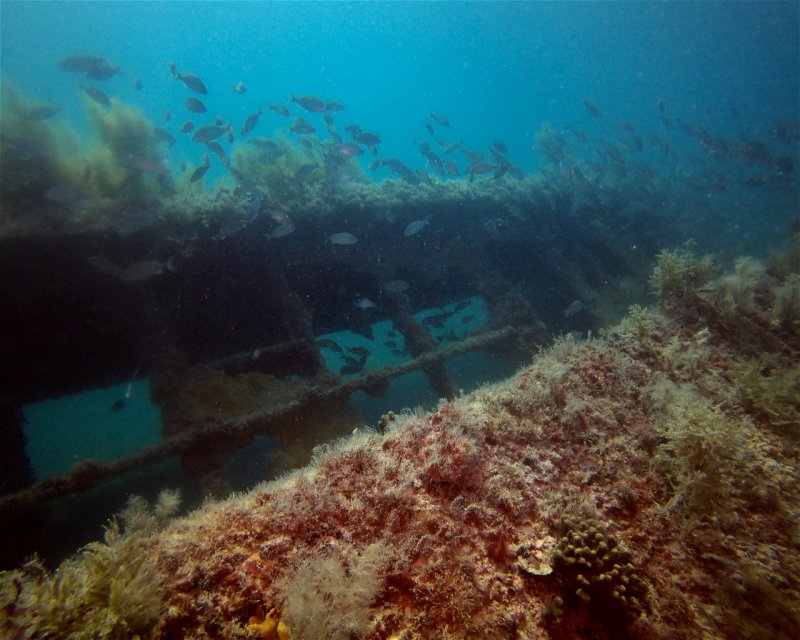 Divesite Image