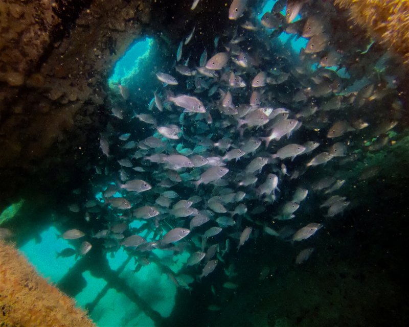 Divesite Image