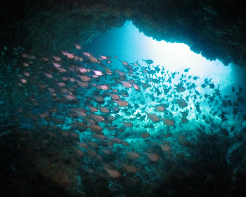 Divesite Image