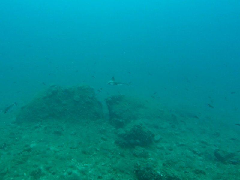 Divesite Image
