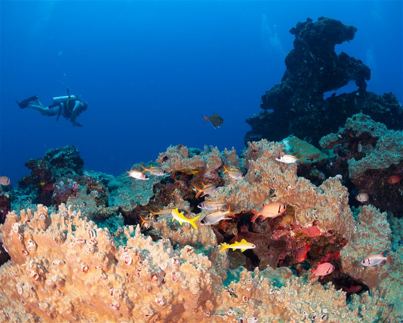 Divesite Image