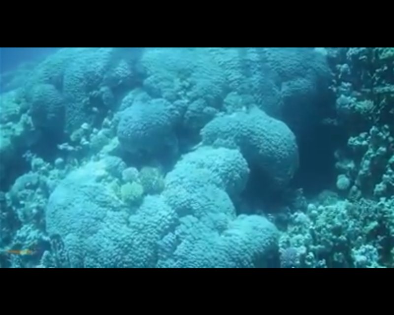 Divesite Image