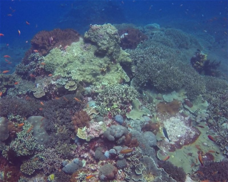 Divesite Image