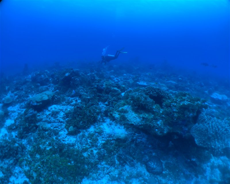 Divesite Image