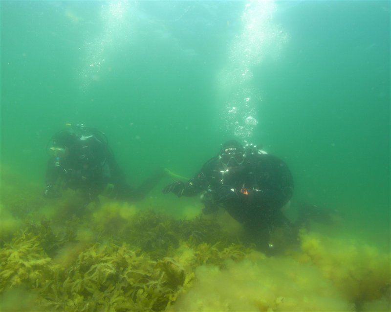 Divesite Image
