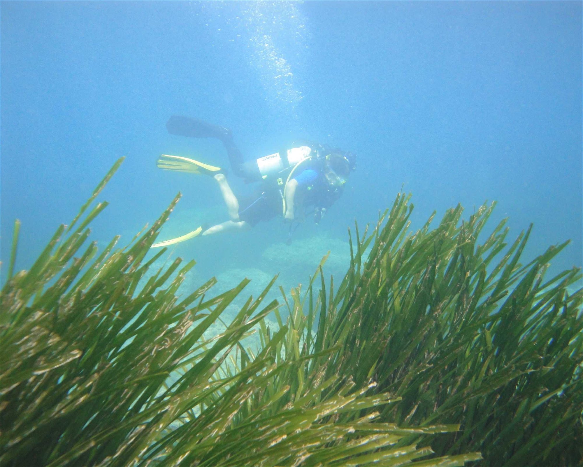 Borgo Marina Diving a.s.d., 18100 Imperia
