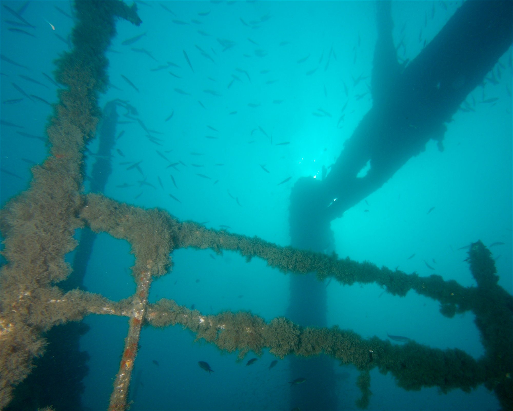 Dive City, 51260 Crikvenica