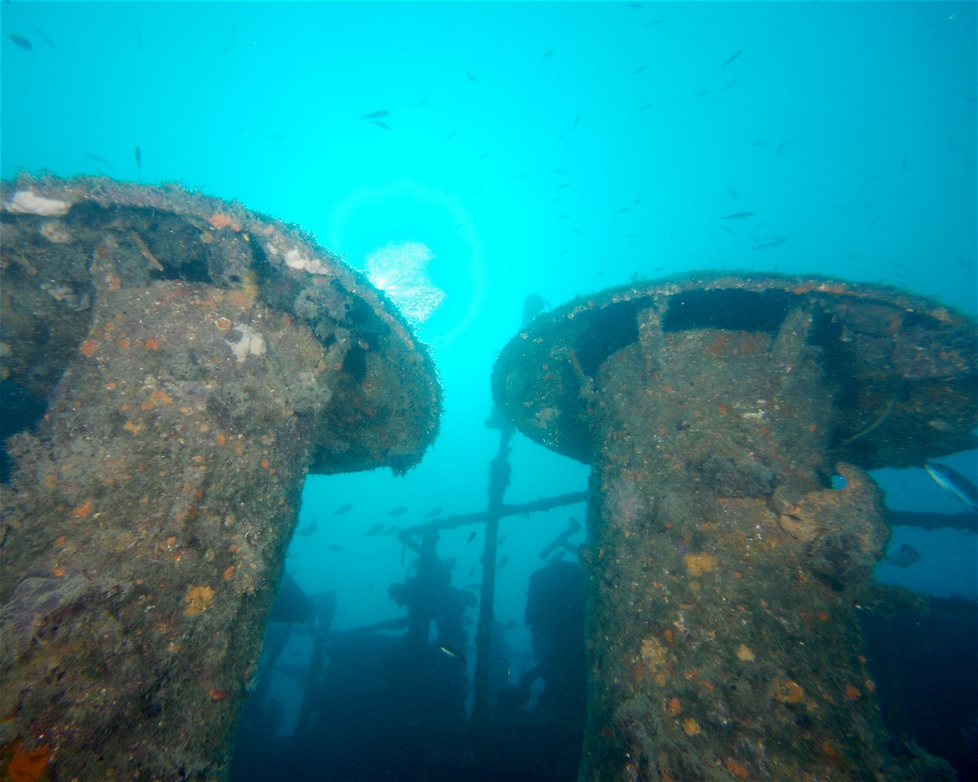 Dive City, 51260 Crikvenica