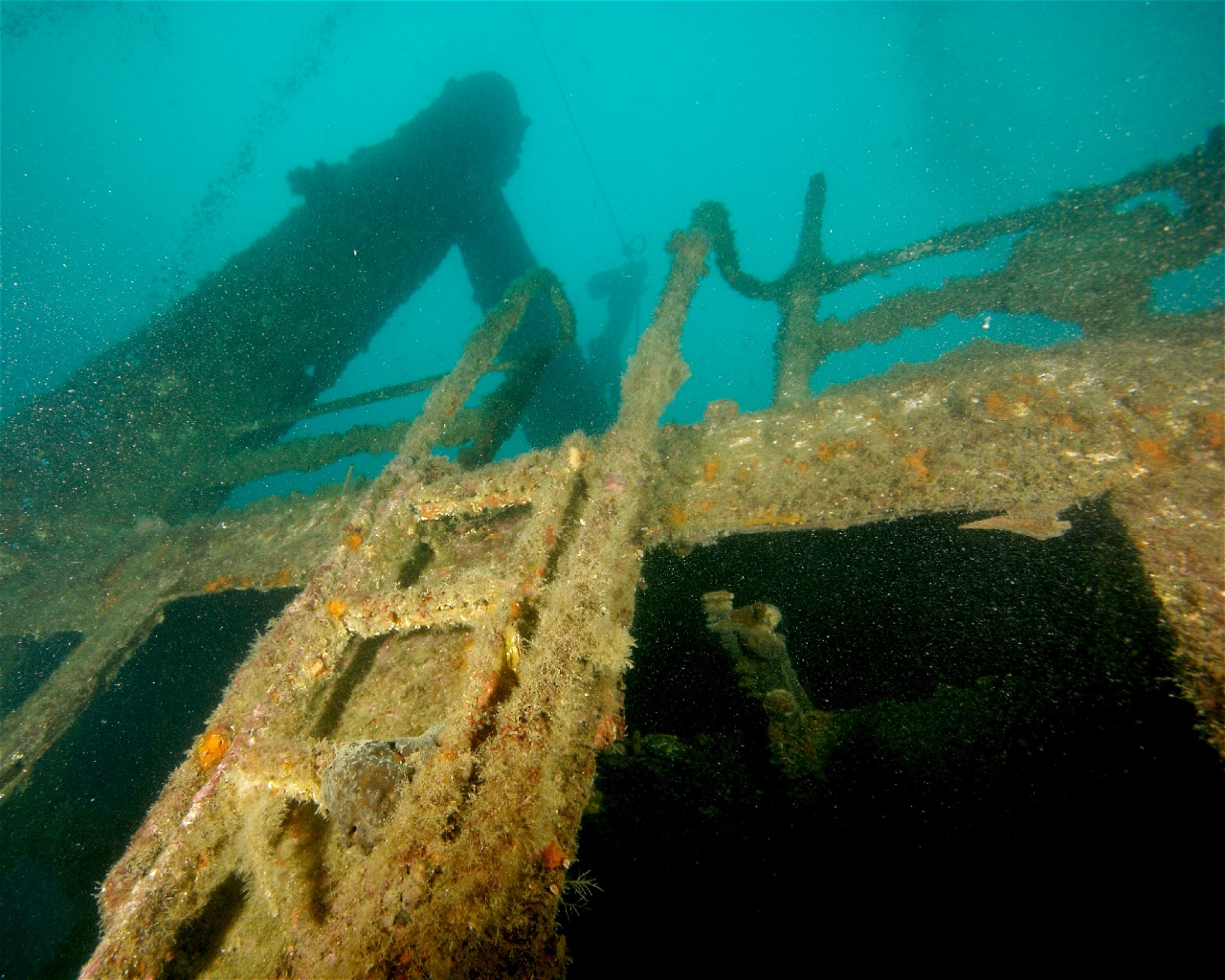Dive City, 51260 Crikvenica
