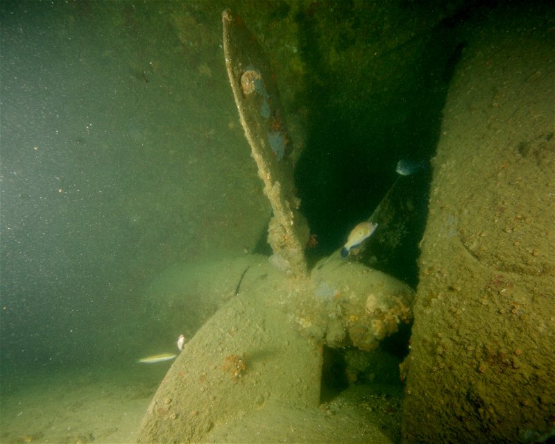 Divesite Image