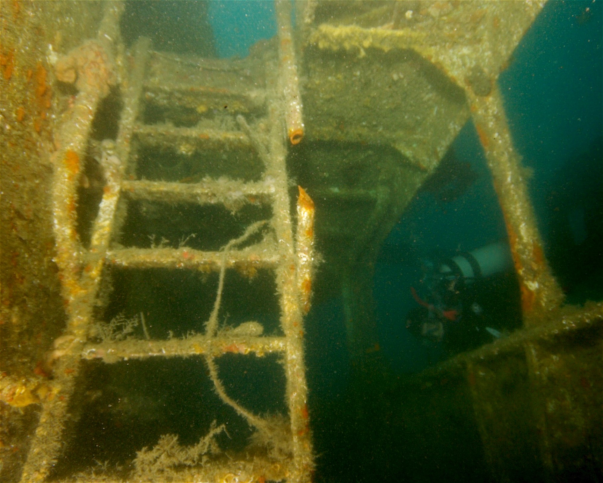 Dive City, 51260 Crikvenica