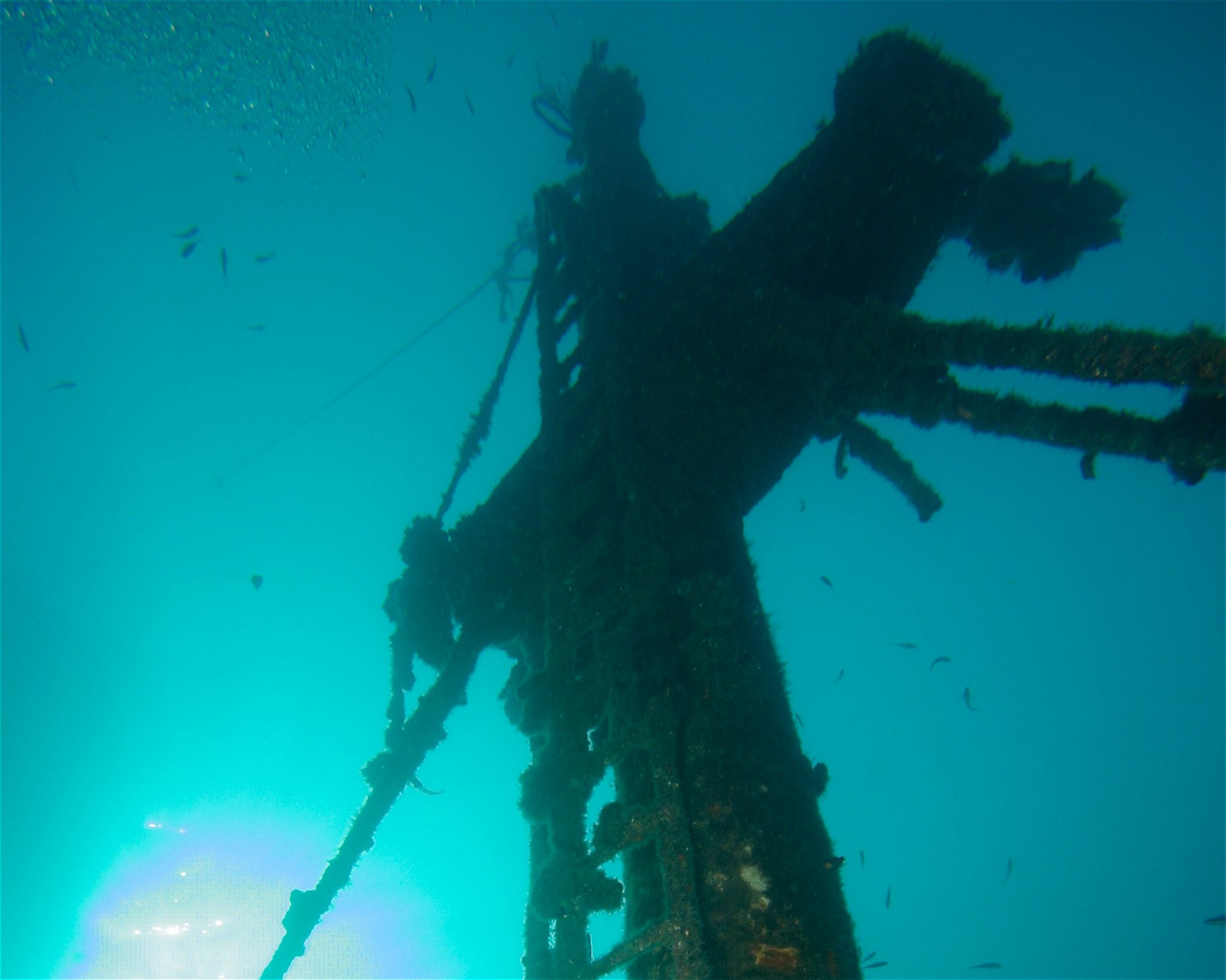 Dive City, 51260 Crikvenica