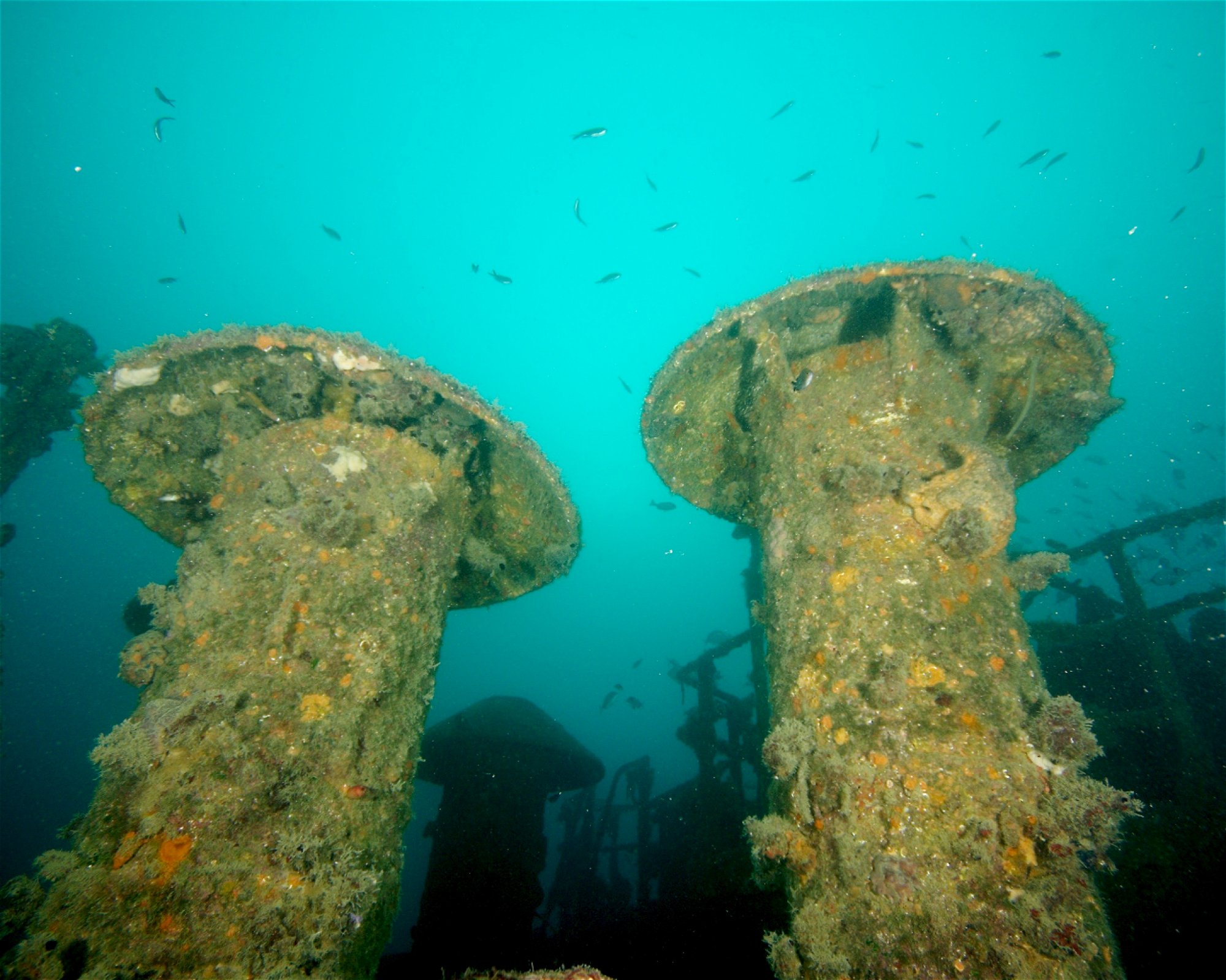 Dive City, 51260 Crikvenica
